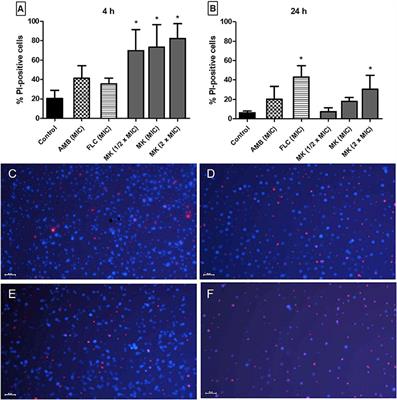 Antifungal Activity, Toxicity, and Membranolytic Action of a Mastoparan Analog Peptide